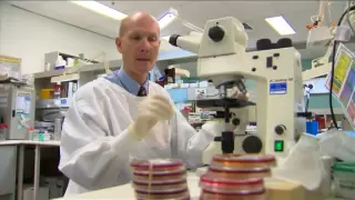 Day in the Life - Microbiology / Virology - Prof  Bill Rawlinson