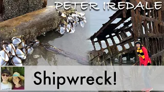 Come Explore The Peter Iredale Shipwreck At Fort Stevens State Park!