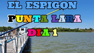 EL ESPIGON PUNTA LARA DIA 1