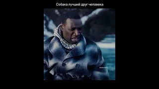 Собака лучший друг человека! Сильно до слёз...