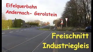 Eifelquerbahn- Freischnitt Stammgleis zum Industriegebiet Kaisersesch Reaktivierung Bahnstrecke Zug