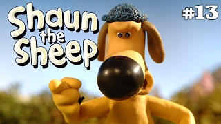Scrumping x3 Episodes | Season 1 DVD Collection | Shaun the Sheep
