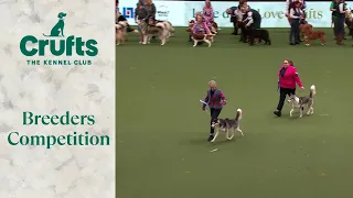 Breeders Competition Final | ​Crufts 2024