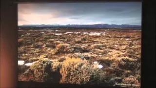 Upper Snake Region Wildlife Speaker Series Part #2 - Wyoming Migrations