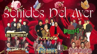 LOS SONIDOS DEL AYER 70'S 80'S 90'S SE VALE LLORAR - YNDIO, SOLITARIOS, FREEDYS, TERRICOLAS, Y MÁS