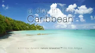 "A Day in the Caribbean" UHD 3.5 HOUR Dynamic 4K Nature Relaxation™ Film - Antigua (No Music)
