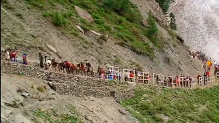 amarnath yatra, अमरनाथ यात्रा वीडियो @TirthMandir