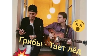 Грибы - Тает Лёд cover (TRAVINSKY cover)