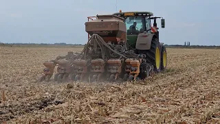 The seeding of the rapeseed crop after the corn crop - seeder - Mzuri pro til 4t.