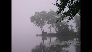 Balade au coeur du marais