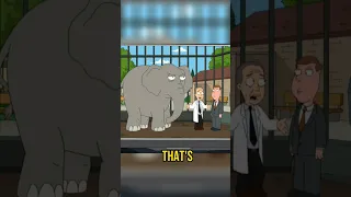 TV in the Car - Operation Dumbo 🚗📺 | Family Guy #funny #comedy #shorts #trend