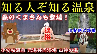 【知る人ぞ知る温泉】混浴＆トド寝もできる元湯共同浴場▽R398で森のくまさんに出会った♪　On the way back from the hot spring, I met a bear!