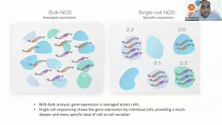 Unleashing the mysteries: The basics of single-cell data analysis