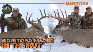 160” Manitoba Buck (Non-Stop Action) | Canada in the Rough