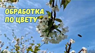 Против Монилиоза, Клястероспориоза и насекомых-вредителей.