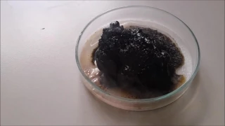 Veeeery Hooooot ... Sulfuric acid and sugar reaction ..