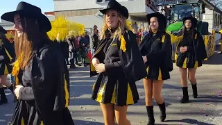 Narrenumzug (Fasching) Frommern 2019 Teil 2 / КАРНАВАЛ В ГЕРМАНИИ 2019, проводы зимы.