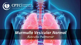 Murmullo Vesicular normal