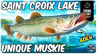 How to Catch UNIQUE MUSKIE on Saint Croix Lake Michigan - Fishing planet