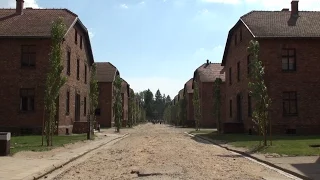 Auschwitz - Episode 1: Stamlager
