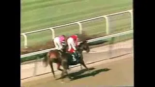 Affirmed - 1978 Belmont Stakes (CBS footage)