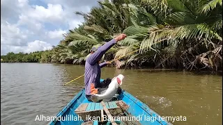 Only in one spot were four Barramundi fish and several other types of fish