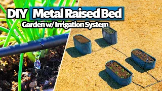 How to Build a Raised Bed Garden with Drip Irrigation (Complete DIY Guide)