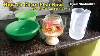 How to Clean a Fish bowl - how to change water in bowl सफाई कैसे करें fishbowl