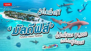 Vlog คู่ซี้ตะลอนมัลดีฟส์ EP3 เที่ยวมัลดีฟส์แบบงบน้อย นอนเกาะลับ แหล่งฉลาม กระเบน | Fulidhoo Maldives