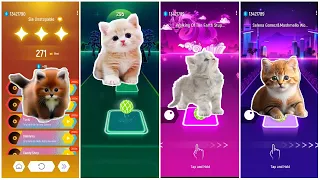 Cute Pet Dance Battle vol7. Unstoppable vs Waka waka vs My Stupid Heart vs Wolves.