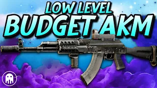 Low Level Budget AKM - Budget Gun Builds - Escape From Tarkov