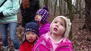 Nature-based early childhood education