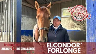 Jerry Planque présente Elcond'Or Forlonge dans le France Sire Anjou Loire Challenge