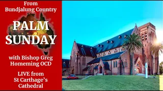 Palm Sunday 2023 LIVE | Bishop Greg Homeming | St Carthages Cathedral Lismore