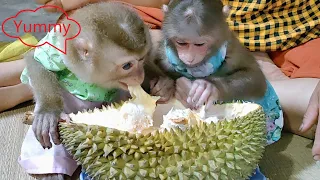 Moon tasted a big piece of durian