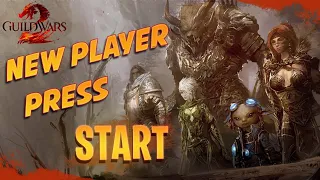 A New Player Guide to Guild Wars 2