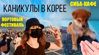 Каникулы в Корее. Сиба-кафе. Портовый фестиваль в Пусане.