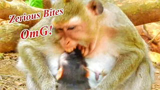 Oh My Baby! Mother Princess Monkey A_ngry Cute Baby M_istreat , B_eat B_ites S_creaming