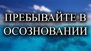 Как действовать в этом мире?