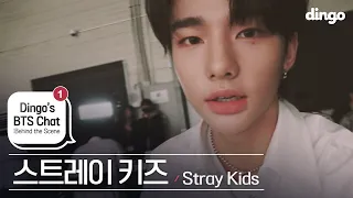 Stray Kids' BTS Dingo Chatroom • ENG SUB • dingo kdrama