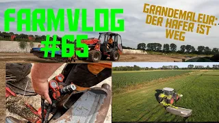 FarmVlog#65/1 der Hafer ist weg: war es ein versehen?