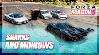 Forza Horizon 5 - More Sharks and Minnows!