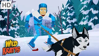 The Iron Wolverine | The Ultimate Winter Wilderness Race | Happy Holidays! | Wild Kratts