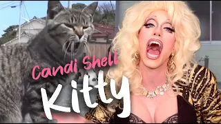 Kitty - Candi Shell (Official Music Video)