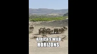 Дикие просторы Африки / Africa's Wild Horizons / Серия 3 Последние гиганты пустыни