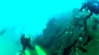 Wreck Diving on the MV Produce - Aliwal Shoal