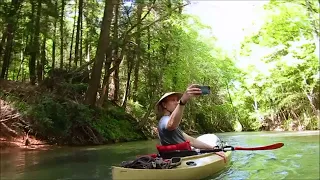 Exploring Bankhead National Forest:  Kayaking Brushy Creek