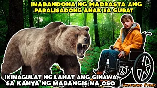 Inabandona ng madrasta ang anak sa gubat ikinagulat ng lahat ang ginawa ng mabangis na oso dito