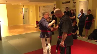 Pressure Point seminar - Grand Master Paul Bowman.