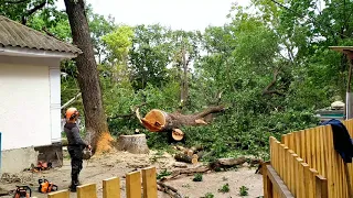 Удаление аварийного дерева